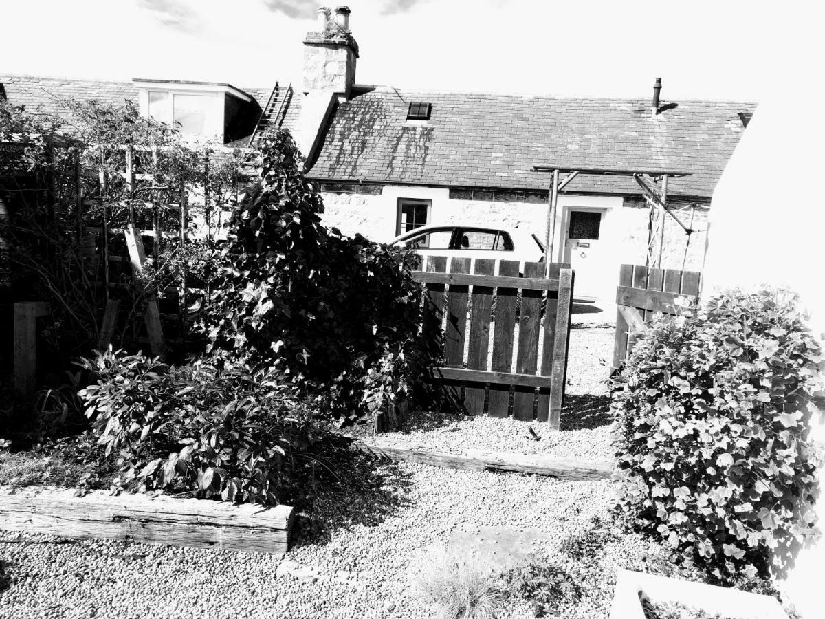 6 Seatown, Lossiemouth Exterior photo
